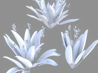 Bird of paradise flower plants 3D model