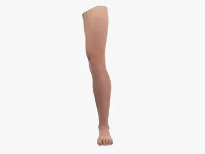 Male Athletic Leg 3D model