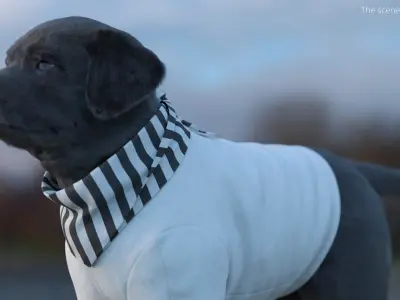  Clothing for Dogs White Black 