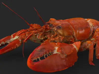 Lobster Low-poly 3D model buy