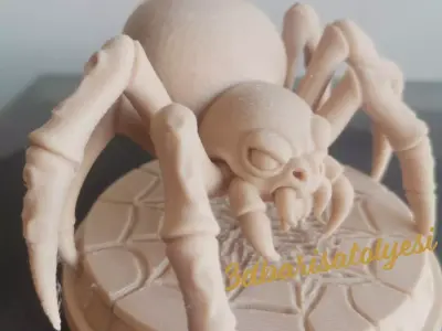 Akkurt 3D model