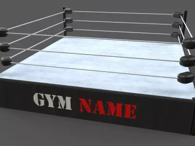 PBR Modular Professional Wrestling Rings 18ftx18ft Low-poly 3D model