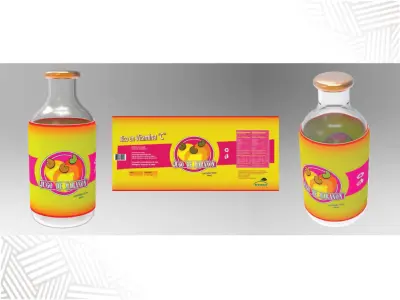 Product and packaging prototyp Free low-poly 3D model