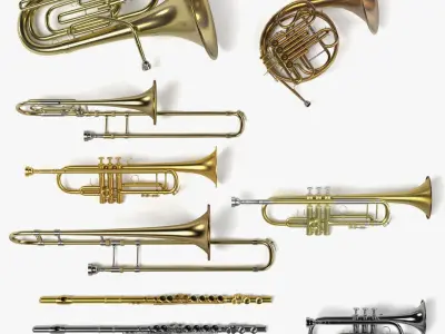 Brass Musical Instruments 3D model