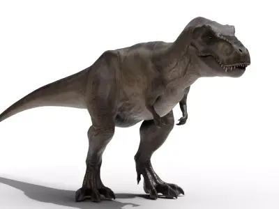 Tyrannosaurus Rex Low-poly 3D model 9
