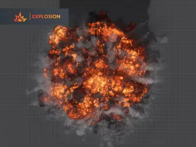 Gasoline Explosion 3D model 3D model