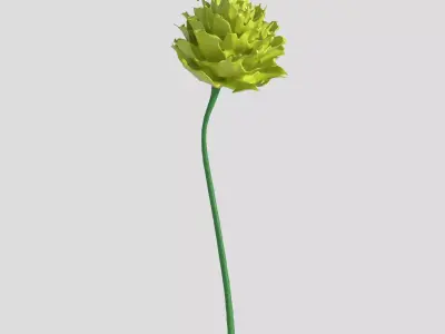 Flower Free 3D model