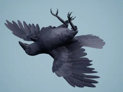 Dead Crow Low-poly 3D model