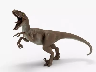 Realistic Velociraptor Rigged 3D Model Low-poly 3D model