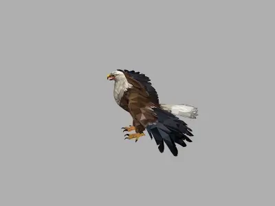Bald Eagle Low Polygon Art Bird Animal Low-poly 3D model