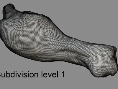 Chicken Leg Low-poly 3D model