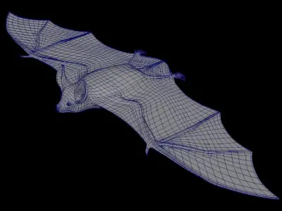 BAT Rigged 3D model