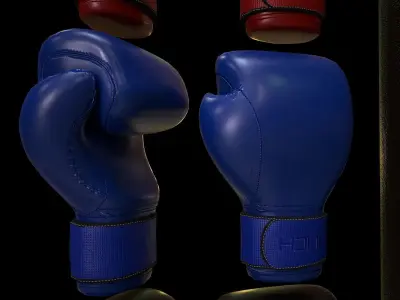 PUNCH Boxing Package Low-poly 3D model