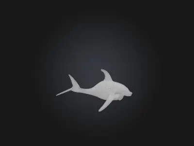RoboDolphin Model Low-poly 3D model