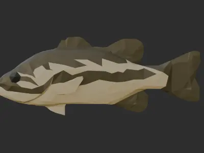Low Poly Spotted Bass Low-poly 3D model