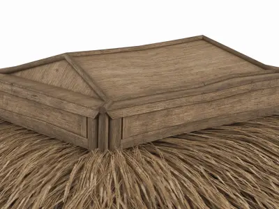 Elevated Bamboo Hut with Thatched Roof 3D model