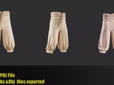Medieval Warrior Pants pack Vol 02 3D model