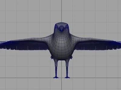 wagtail bird 3d model 3D model