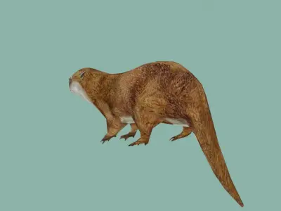 squrrel lowpoly 3d model 3D model