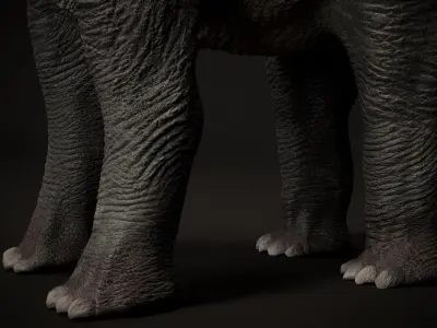 Brachiosaurus Sauropod Dinosaur 3D model