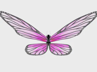 Animated Butterfly 3D model