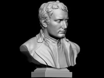 Napoleone Buonaparte 3D print model