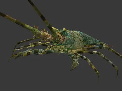 lobster    Australian lobster Low-poly 3D model