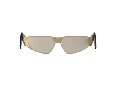 Gold Tint Sunglasses 3D model