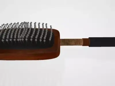 Brushes hair brush Free 3D model
