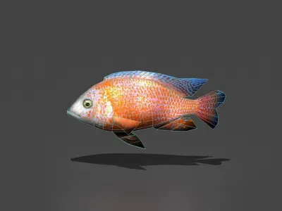 Dragonblood Peacock Low-poly 3D model