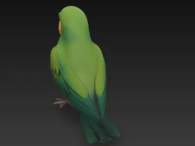 Parrot Green Realistic 3D Model Basic - Low Poly Realistic Low-poly 3D model
