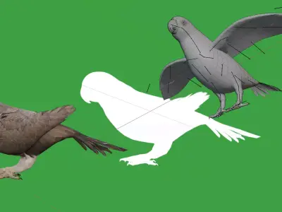 African Grey Congo Parrot Bird Free low-poly 3D model