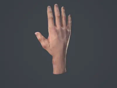 Male Hand  Low-poly 3D model