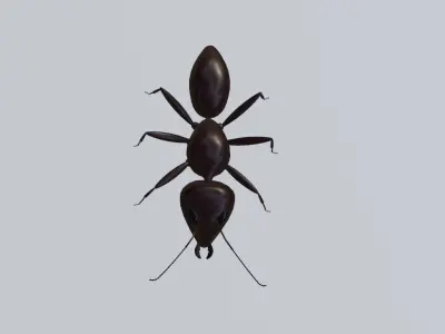 Ant - Formiga Low-poly 3D model