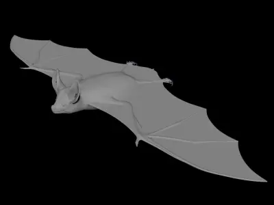 BAT Rigged 3D model