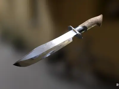 Bowie Knife and Scabbard Low-poly 3D model