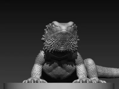 dragon lizard 3D print model