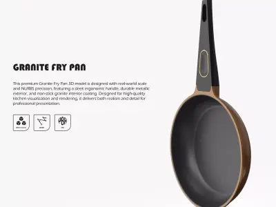 Granite Fry Pan 3D model