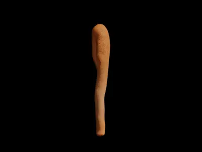 Cordyceps militaris Low-poly 3D model