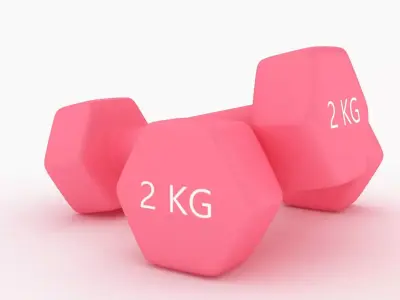 Plastic Fitness Dumbbells 3D model