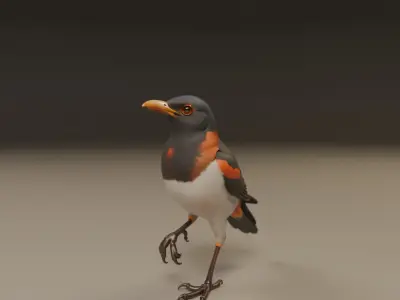 European Starling 3D print model