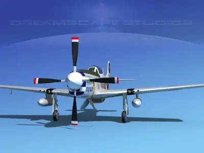 P-51D Mustang Indian Maiden 3D model
