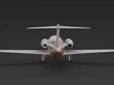 Rose Gold Zenith Luxury Executive Jet Low-poly 3D model