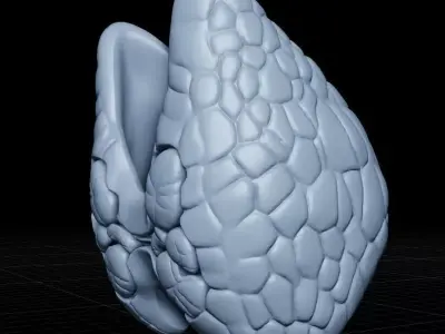 Thyroid and Parathyroid Glands Posterior View 3D Model 3D print model
