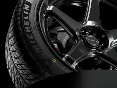 MICHELIN Pilot Alpin 5 275 45 R21 113V 3D model