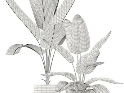 Plants collection 119 3D model