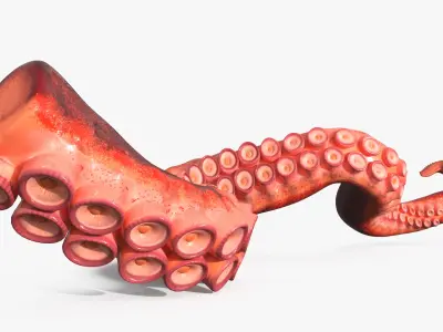  Octopus Arm Marine Animal Orange 