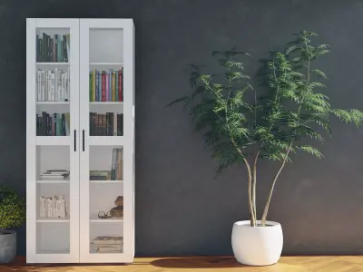 Glass Bookcase  Free 3D model