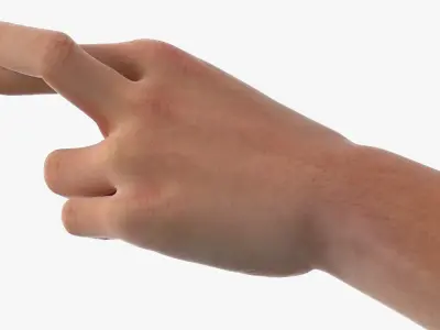 Human Arm Set with Fingers Crossed 3D model