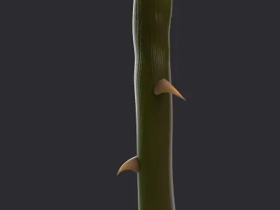Rose  purchase 3D model
